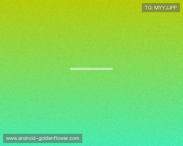 广马赛事盛况启幕，打造跑者梦想之城，探索健康与活力新生活